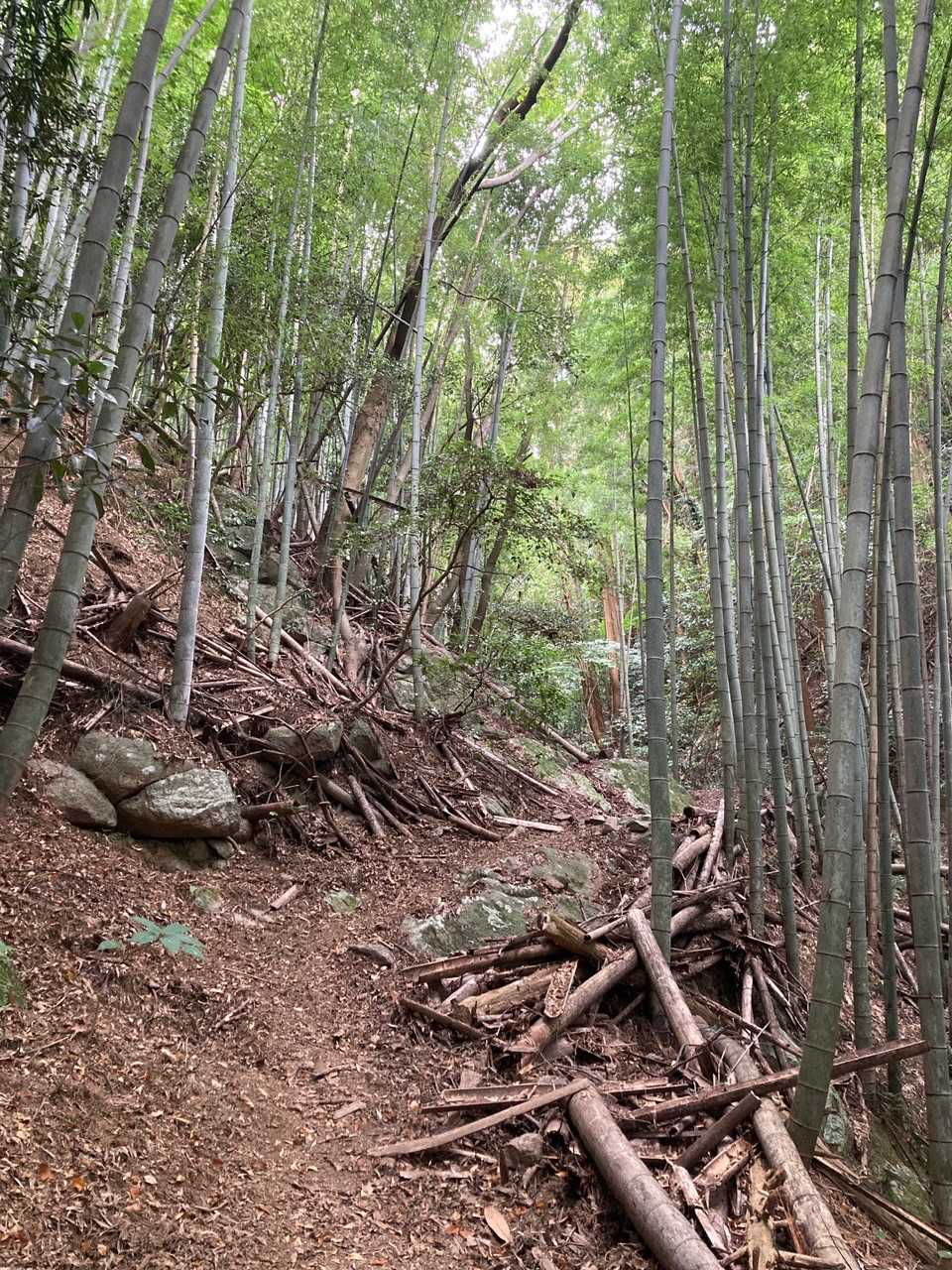 立花山登山道口・大権現登山道口-立花山 周回コースの写真