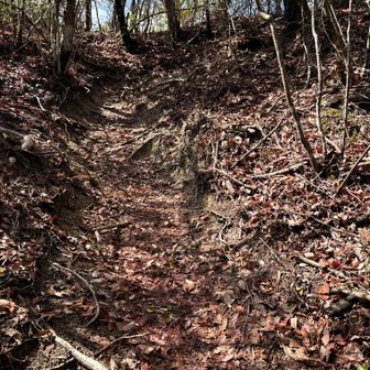 もう少しで岩巣山頂上