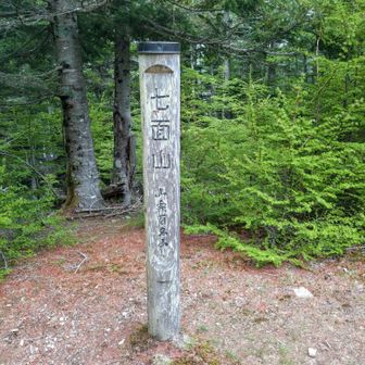 七面山登頂🙌

休憩したいけどとりあえず先に七面山最高峰へ