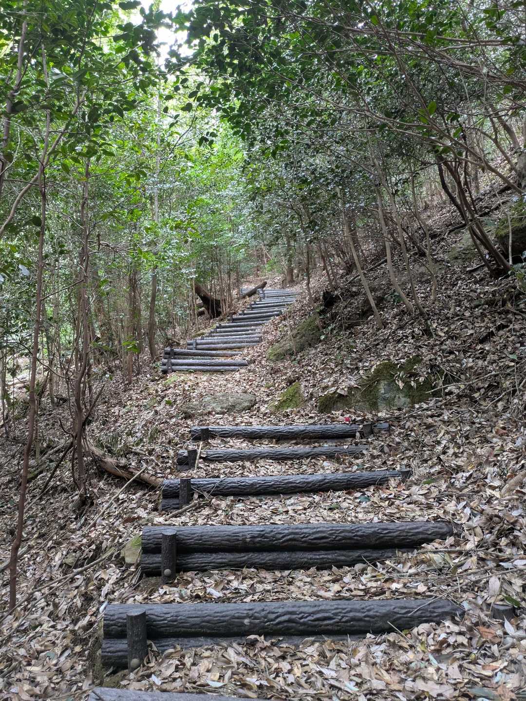 筆捨山 往復コースの写真