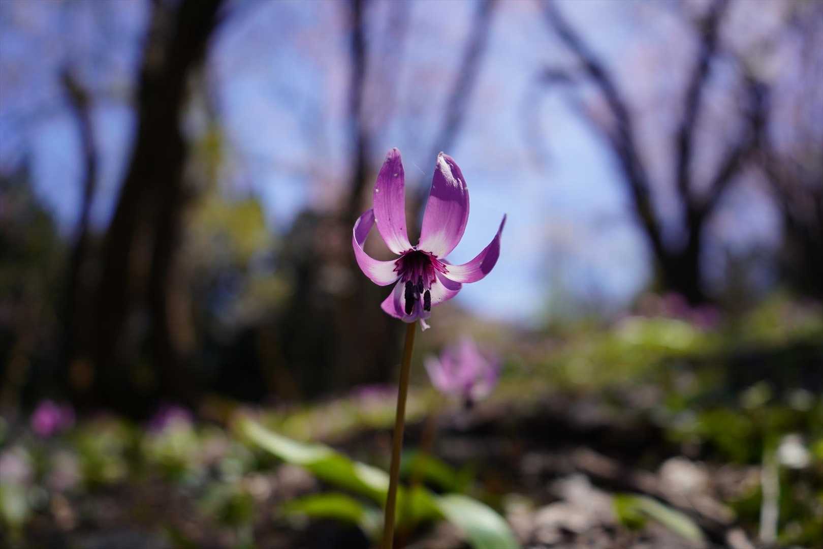 かわいい✨