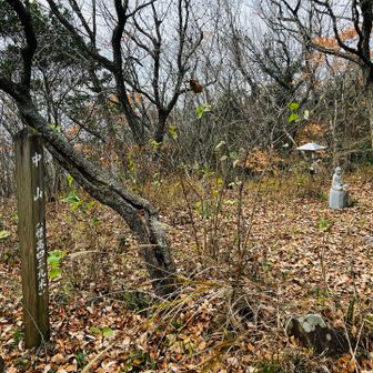 あっという間に第四の山⛰️中山到着🙌
我拝師山の登りとくらべたら全然ラク😆