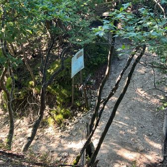 武兵峠戻ってきた✌️
