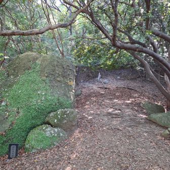 ぼたもち岩、ここから鷲頭山への登り。