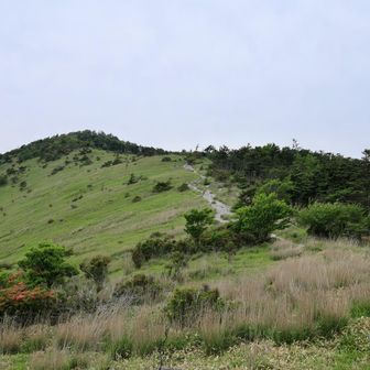 スタート地点に戻ってきました。
これからこの山に登ります。
鷲ヶ峰。