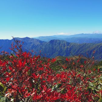 やっぱり谷川岳