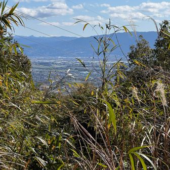 山頂からの展望。僅かに麓が見える程度。
次は目配山へ向かいます。