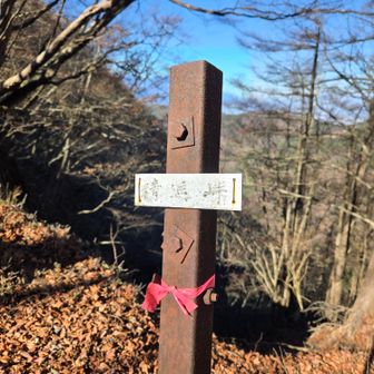 精進峠まで下りてきました