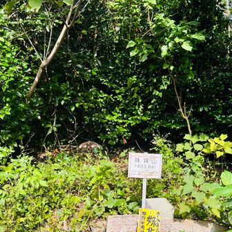 妹背山(四国百名山)ピーク