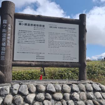 霧ヶ峰湿原植物群落の看板
今日はここからスタート
