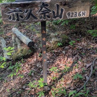 赤久奈山