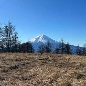 もう…振り返ればそこに富士山がいる🗻。