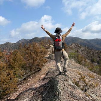 アルプスって感じの岩🪨