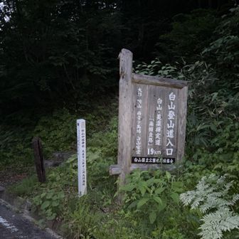 結局2時間弱の仮眠だけして、4時過ぎに登山開始😅