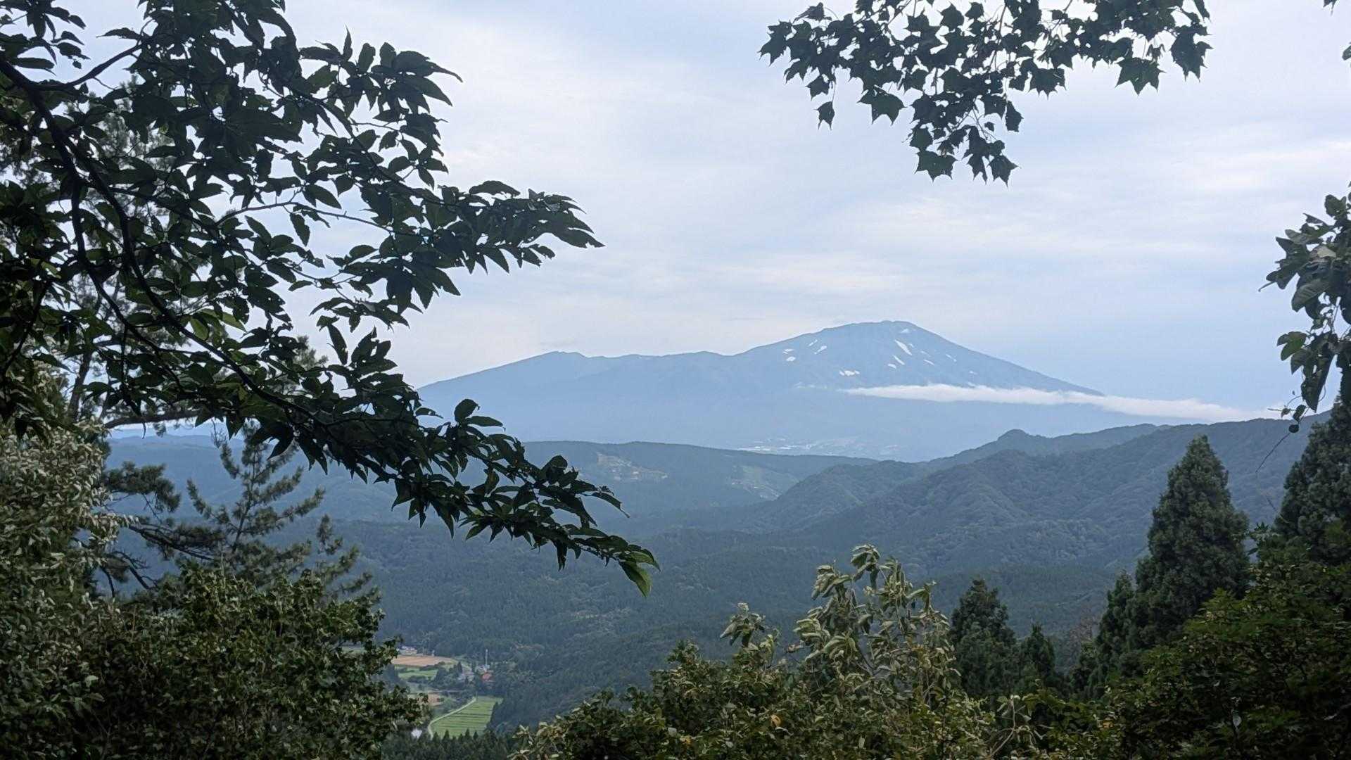 薬師神社-胎蔵山 往復コースの写真