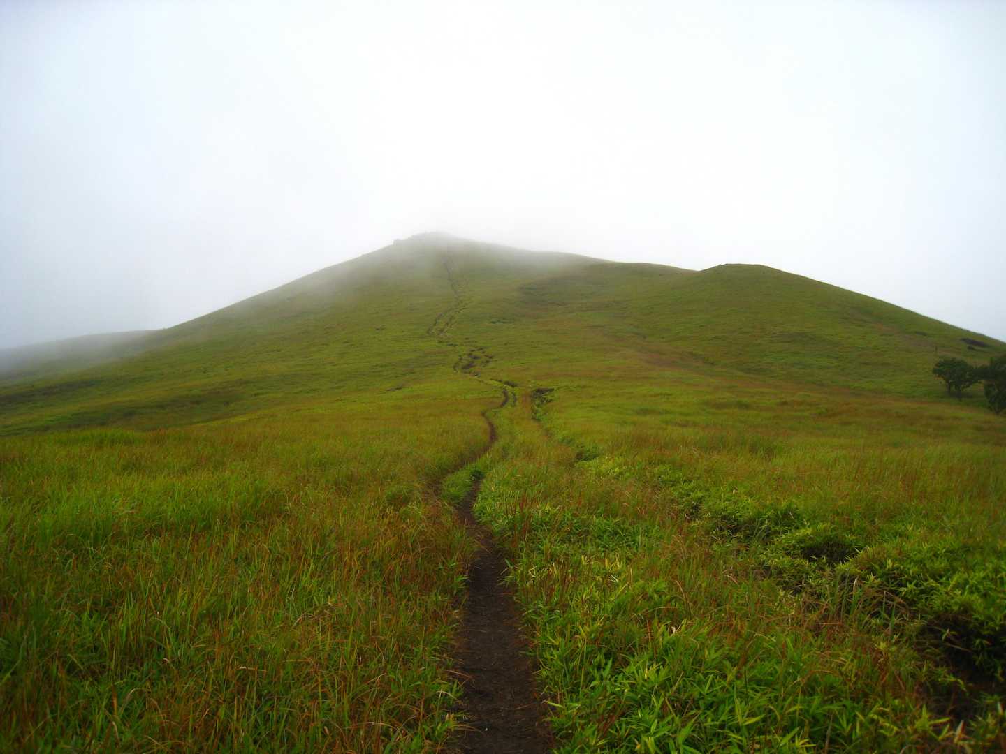 目の前に見える一目山を一気に登ります。