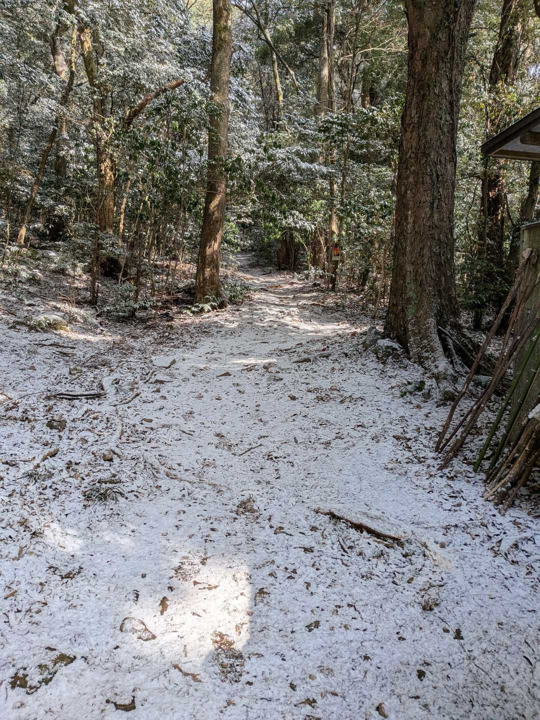 今日は登山口から白❄
凍っているので少し行ったところですぐにチェンスパ装着🥾