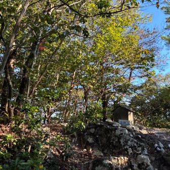 清瀧山
蜘蛛の巣すごいからもう嫌いだなは