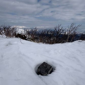山頂で、三等三角点を見つけました。