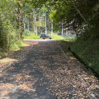 優しめハイキング🥾終了、ここからはセコップで近くのピークを車🚗で周る事に