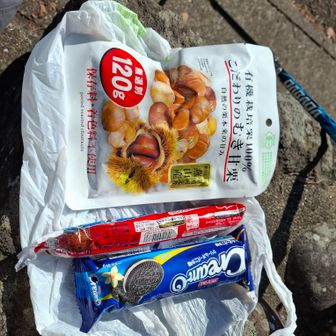 妙相寺を出てキタテハ、テングチョウ、キタキチョウや水源地の水鳥🦆を眺めながら休憩、行動食をいただく😋