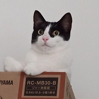 Mikaにゃ