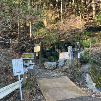 遅いスタート、陽射しも何だか夕方みたい