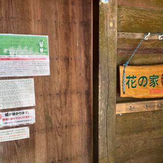 時間が早いので閉まってますが。

ザワザワしてなくて逆に良いかも。