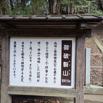 個人的には権力を簒奪した当時の藤原一党（特に不比等）は好きではないが、それでも後の日本の歴史の基礎を築いた一族　ちゃんとお賽銭を入れておまいりする。　根尾神所の春日神社の近くも藤原さんが多く、仲良くしてもらっている。我が町の首長も藤原さん。知人友人に加藤さん、佐藤さん、近藤さん、遠藤さんもいる　ルーツをたどるとみんなつながっている　私はどこかの馬の骨の類でせいぜい曾祖父までぐらいしか知らないが(-_-メ)　やっかんではいない(^^)/