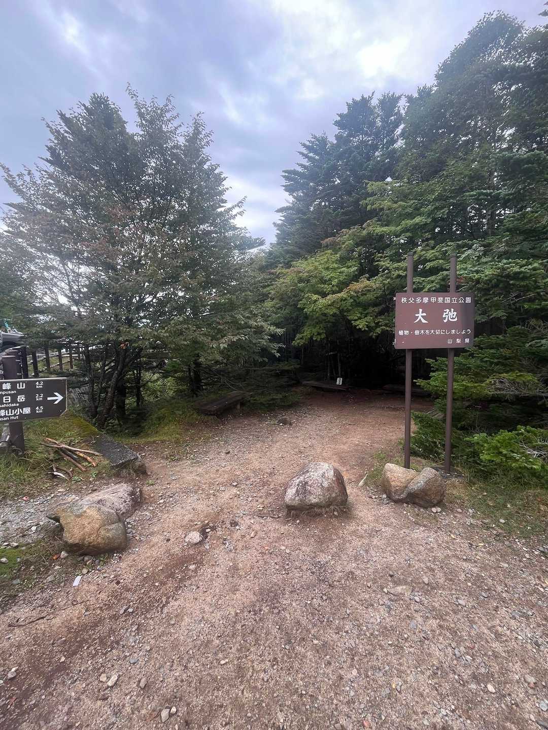 登山前まではめっちゃ雨降ってましたが、この時からガスも抜けてかなり明瞭な登山道に