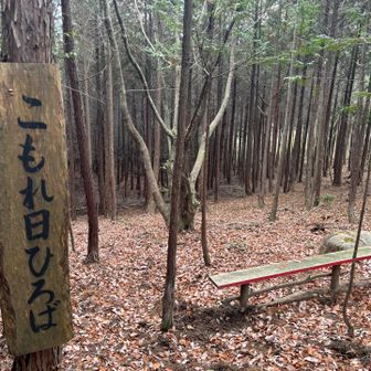 こもれびひろば
食べ物じゃなかった