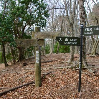 たぶん、唐沢峠に到着です。

大山さんまであと2.5km。