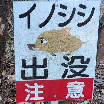 ここにくると撮影してしまいます。