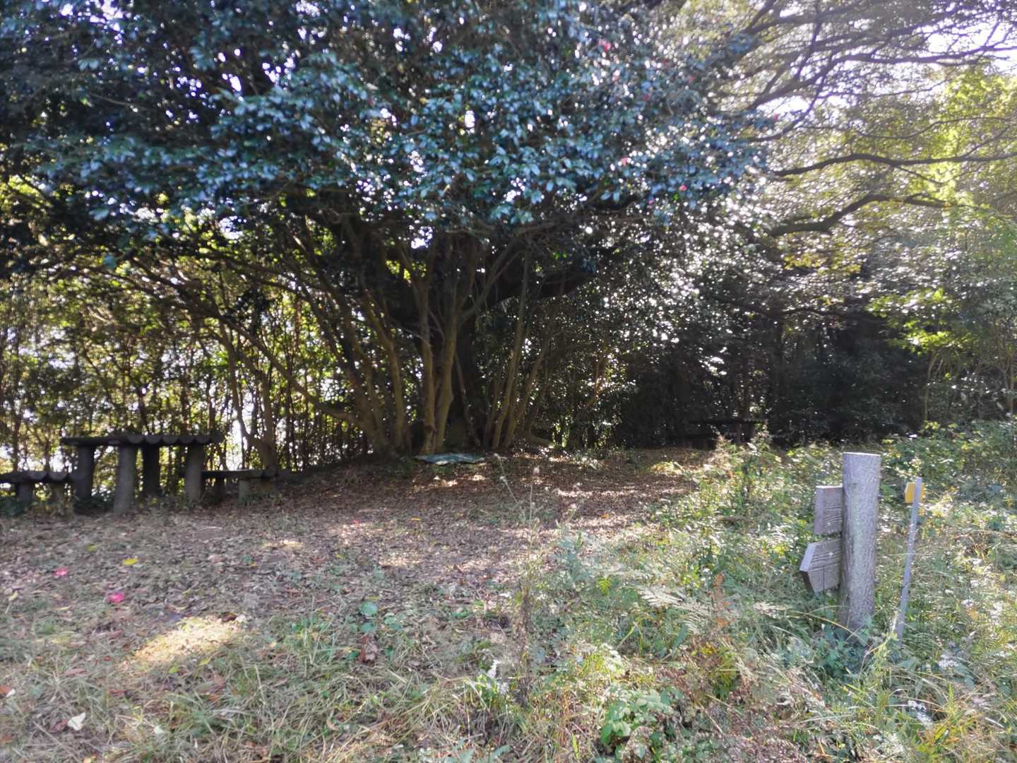 多米峠に無事到着。豊橋自然歩道に合流です。