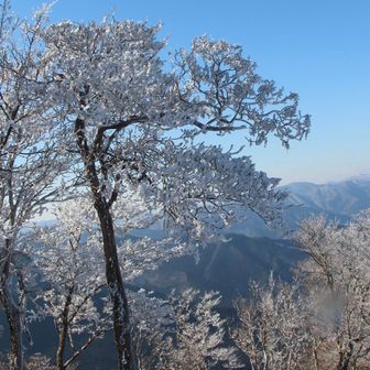 今日のいいねです👍
