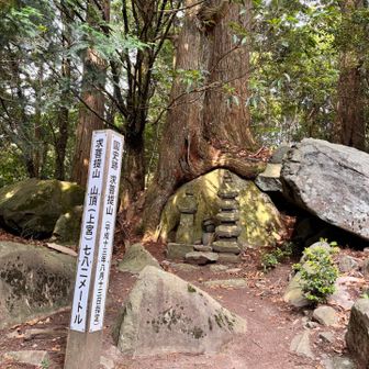 山頂です⛰️💨
