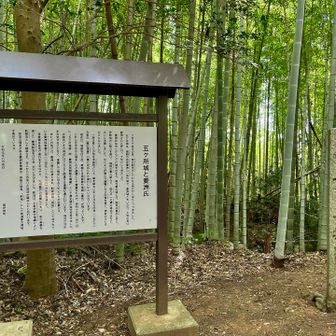 ココが愛洲一族の城があった場所なのね。