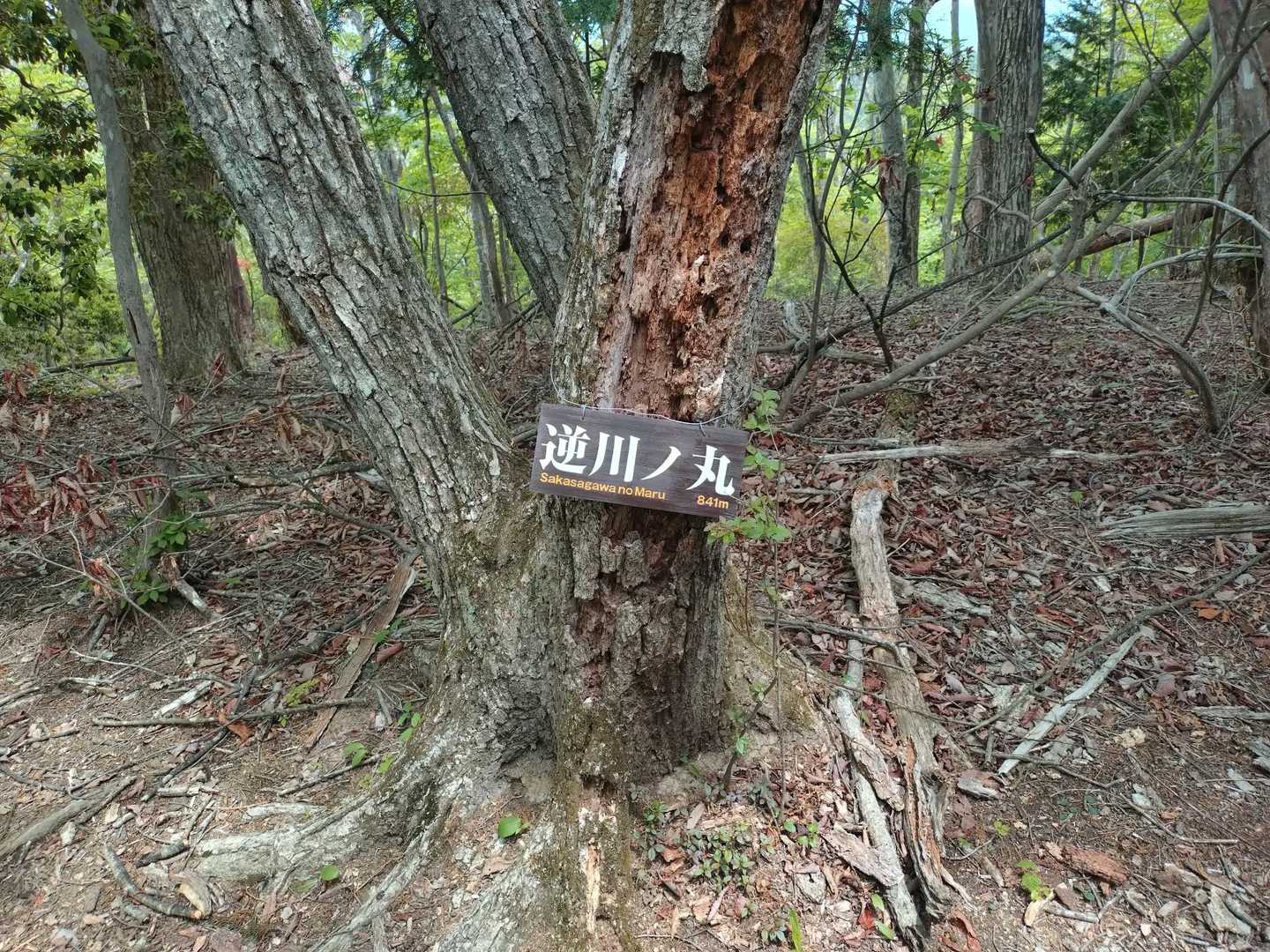 龍泉寺登山口-白谷沢登山口-権次入峠-棒ノ嶺-黒山-逆川ノ 縦走コースの写真
