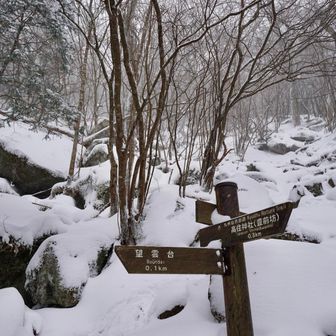 ここでズルズル滑って体力消耗するので観念してチェーンスパイク装着