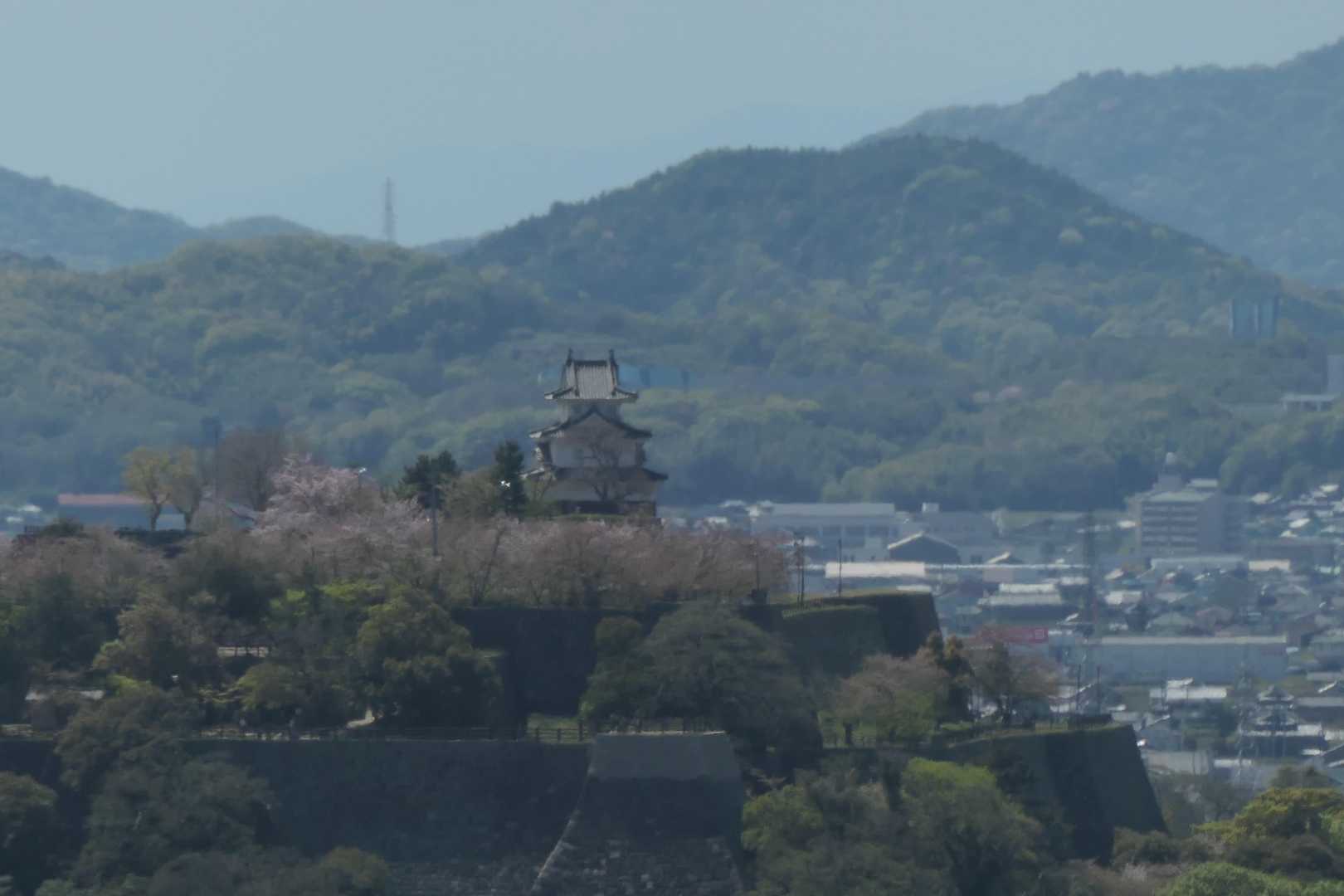 道の途中で、丸亀城が見えます。