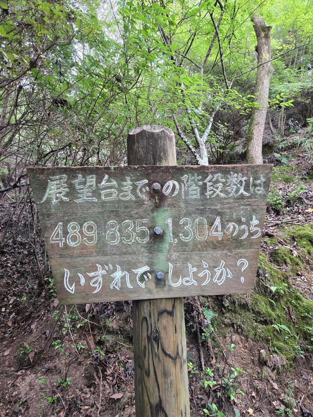 階段数えられない…