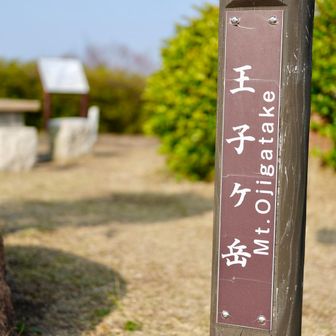 玉子っぽい

王子ヶ岳（おうじがたけ）
岡山県玉野市と倉敷市にまたがる標高約234mの山で、瀬戸内海を一望できる展望地として知られます。山体は風化した花崗岩からなり、「ニコニコ岩」などの奇岩が点在。植生はアカマツ林や低木が中心で開放的な景観が特徴です。山頂付近には廃ホテル跡が残り、観光開発の歴史も感じられます。登山やハイキングのほか、パラグライダーの名所としても人気があります。