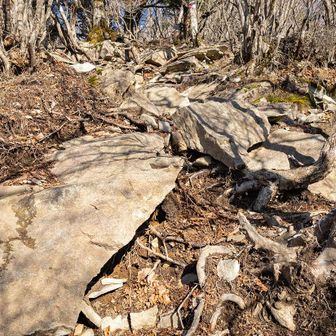 マジでずっと激登りだった