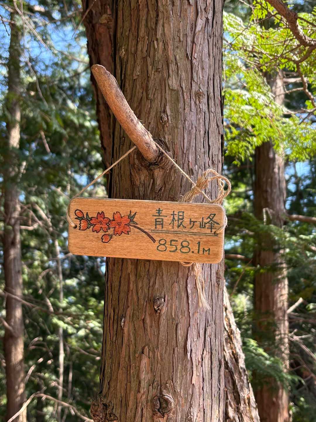 青根ヶ峰
