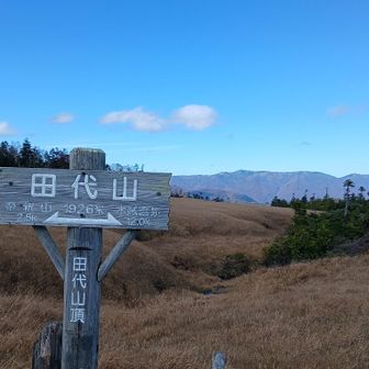 なぜこんなところに？という分岐点で山頂標識らしきものを見つけた