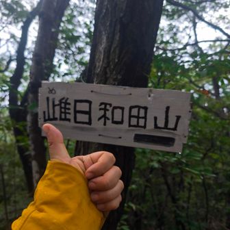 イエーイ！いい角度の登りだった！