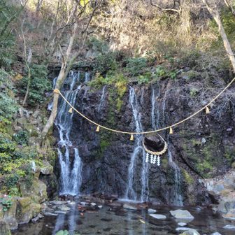 玉簾の滝。(ﾀﾏﾀﾞﾚ)