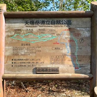 期待を大きく上回る山でした✨
また登りたい⛰️