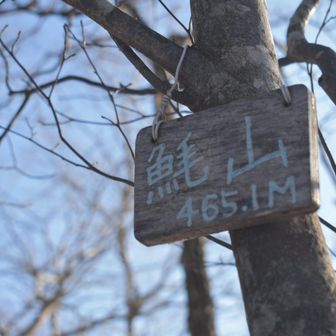 カワイイ山名札