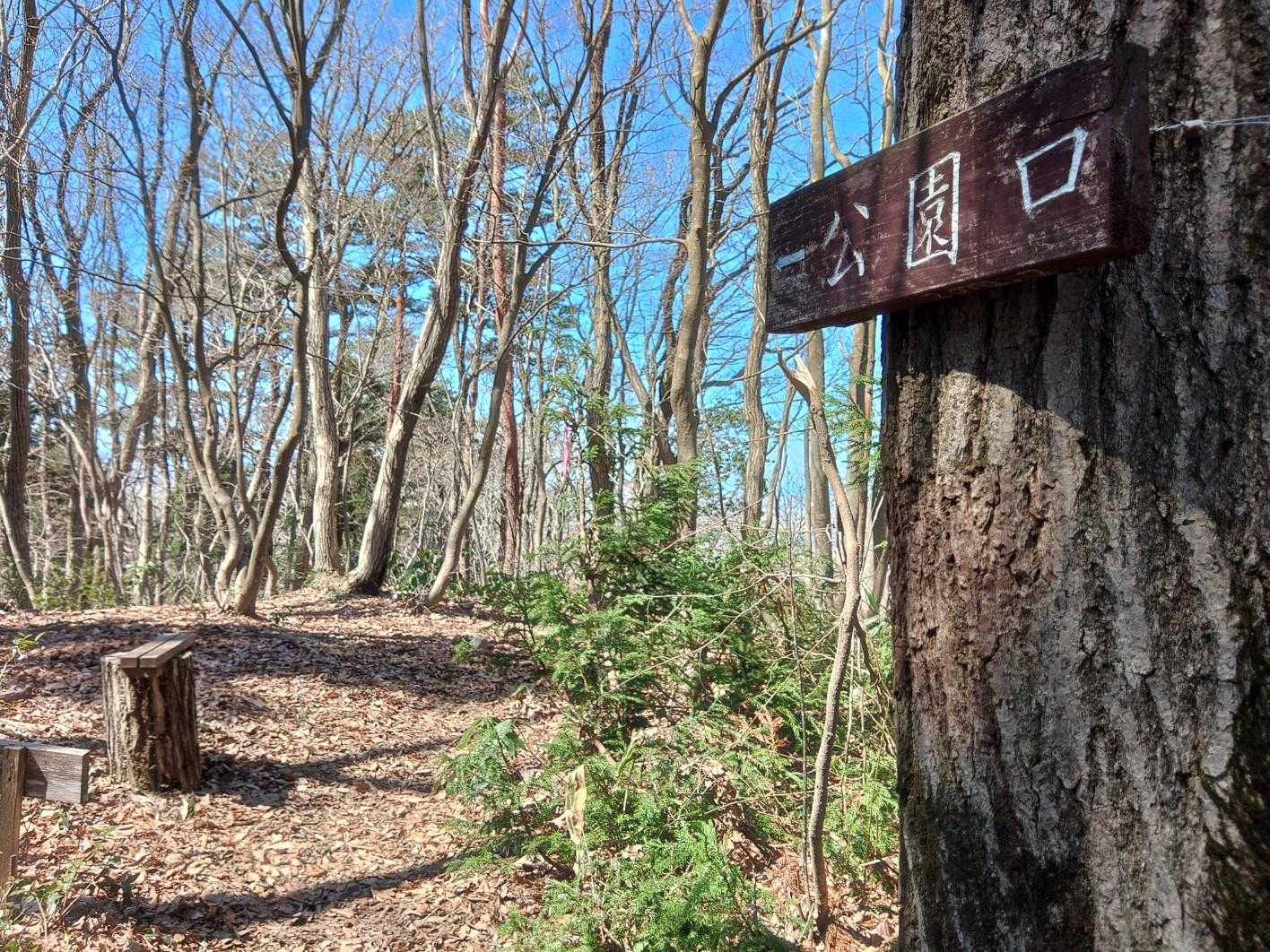 ここから下降